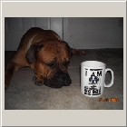 Kenoa and Clints from Larry Coldwater Payton 14mths1008c.jpg